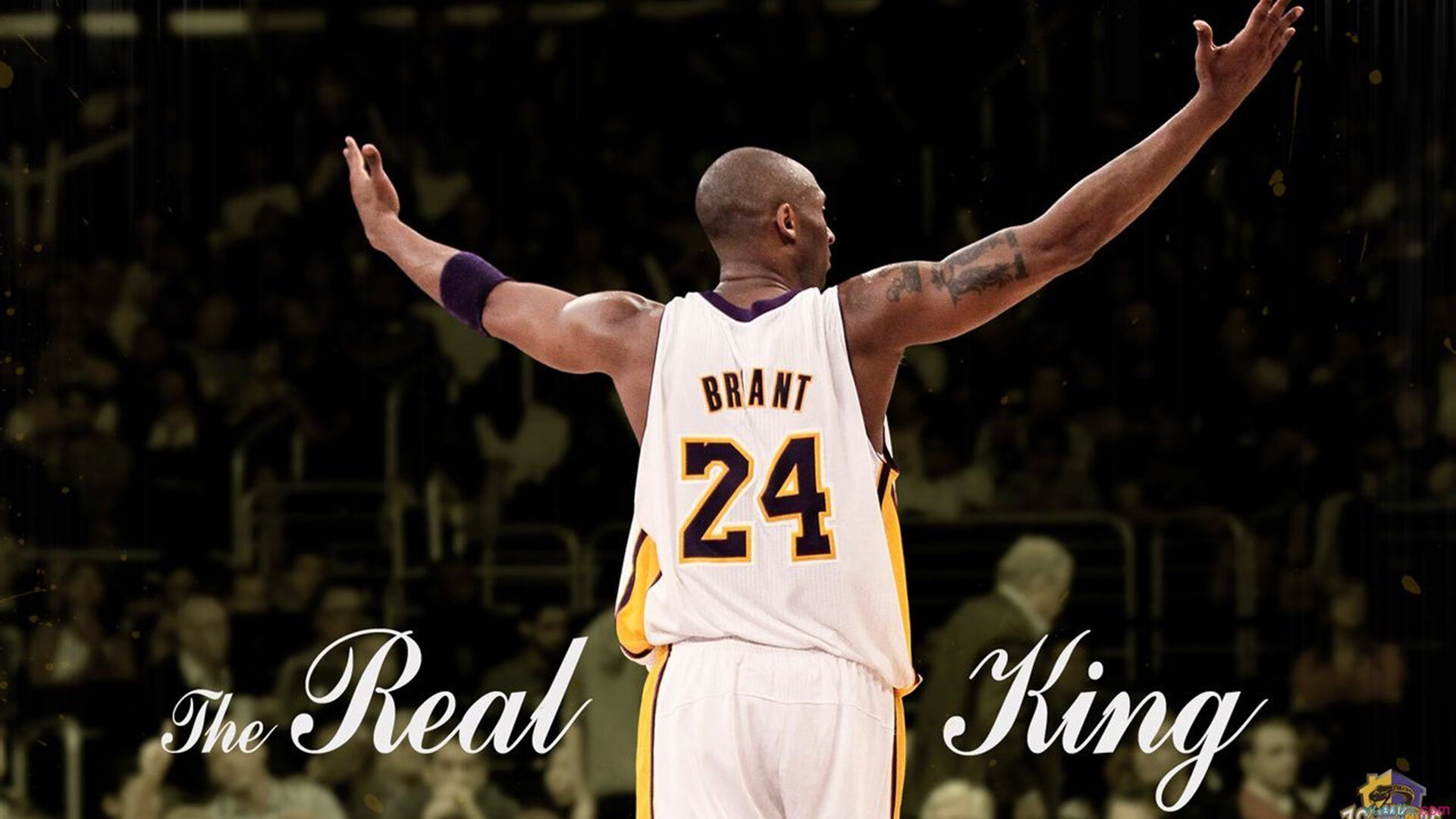 NBA球队阵容深度分析,nba球队阵容深度分析最新